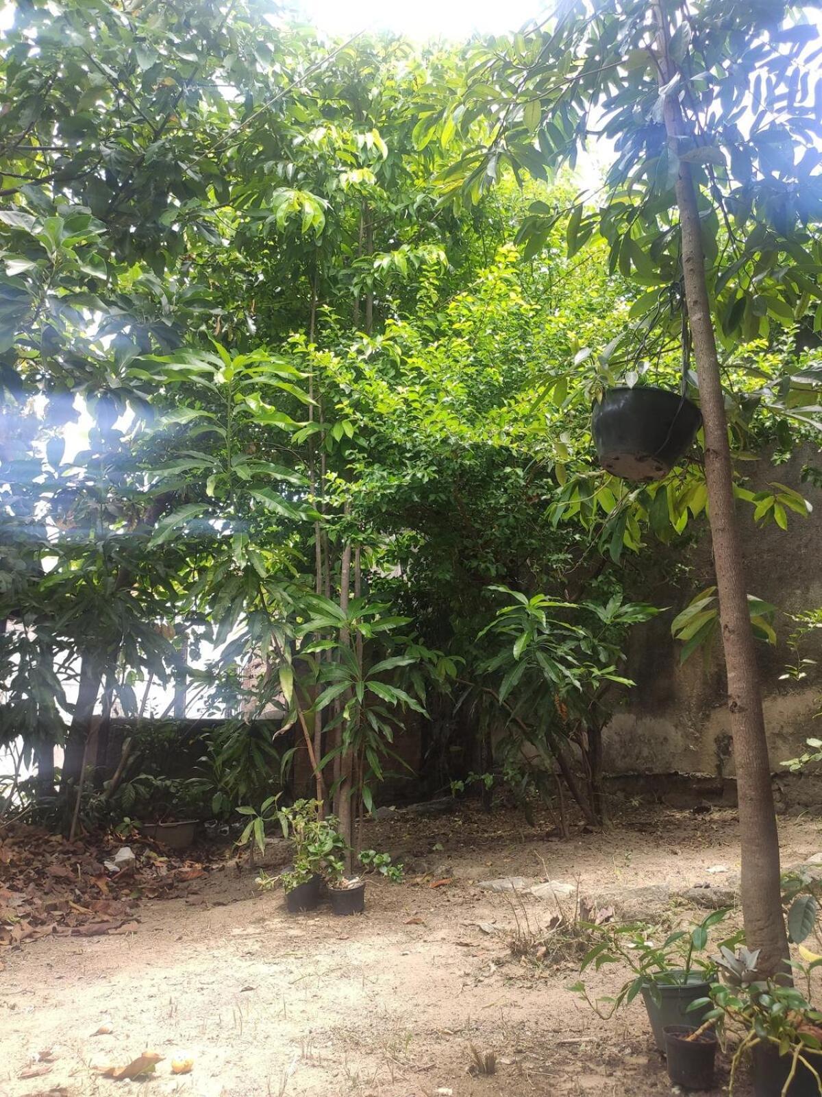 Casa Na Pampulha - Mineirao - Zoologico - Parques E Casas De Festas